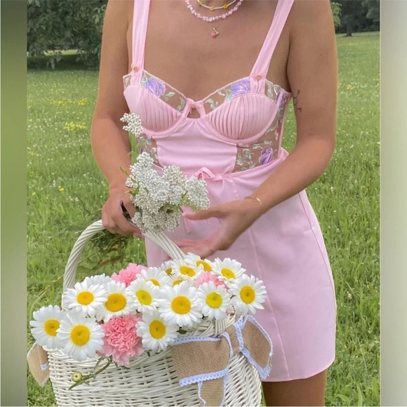 For Love And Lemons Dresses & Skirts - For Love And Lemons Pastel Rose Dress Slip Romantic Pink Mini women's  Size XL